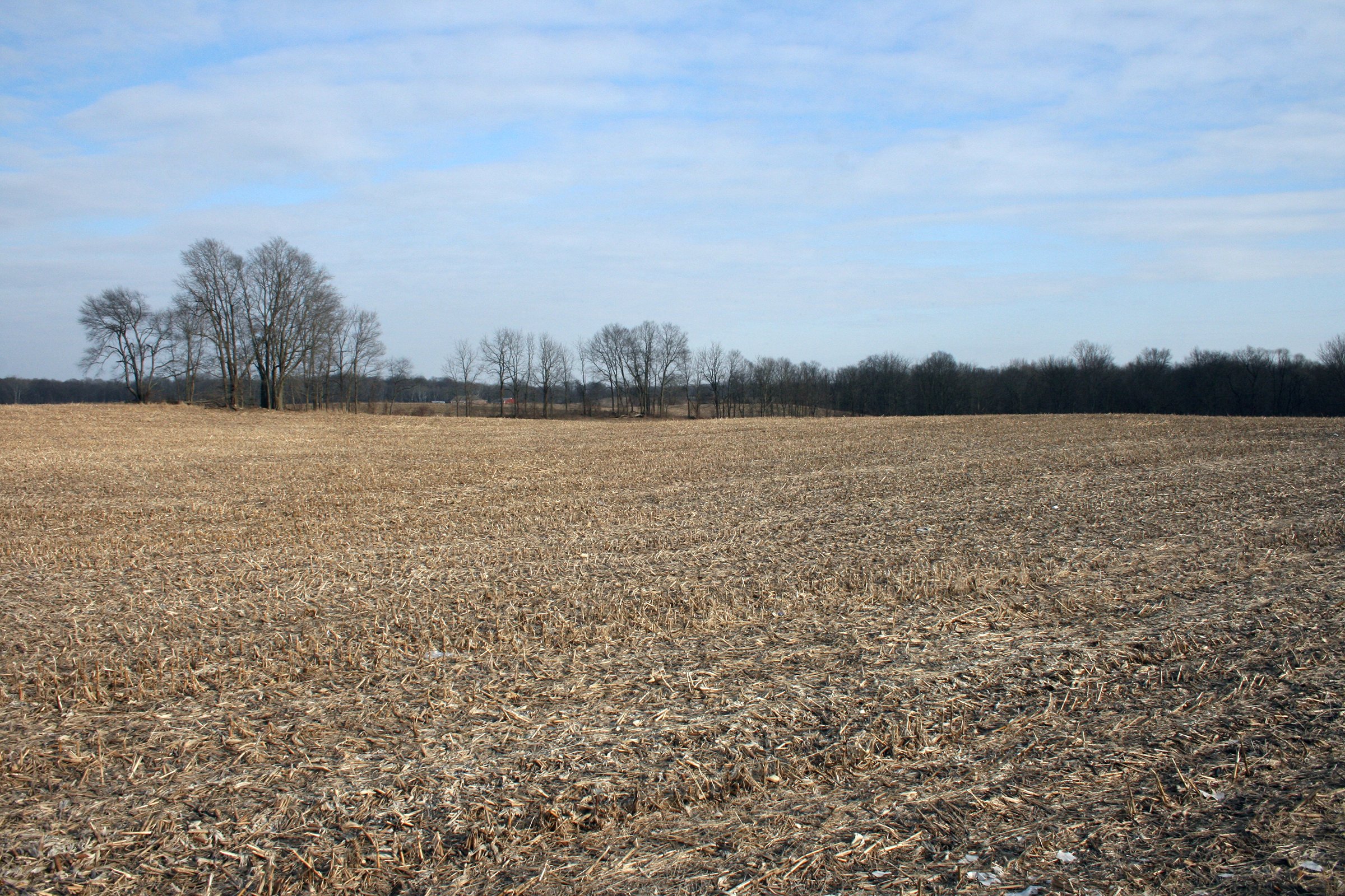 Property photo 3 - REAL ESTATE AUCTION - 84.5+/- ACRES IN 4 TRACTS IN WHITLEY COUNTY, INDIANA